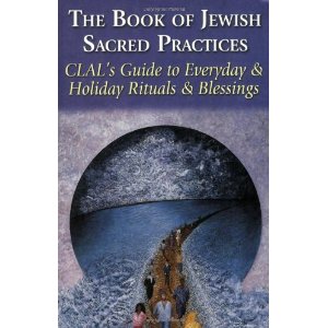 Seasons Of Our Joy A Modern Guide To The Jewish Holidays Book Pdf